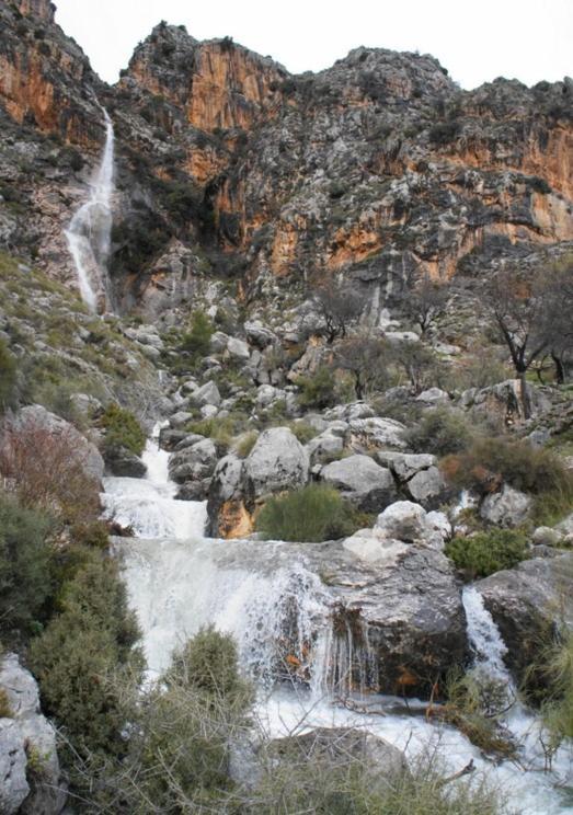 Hotel Ciudad Pozo Alcon Bagian luar foto