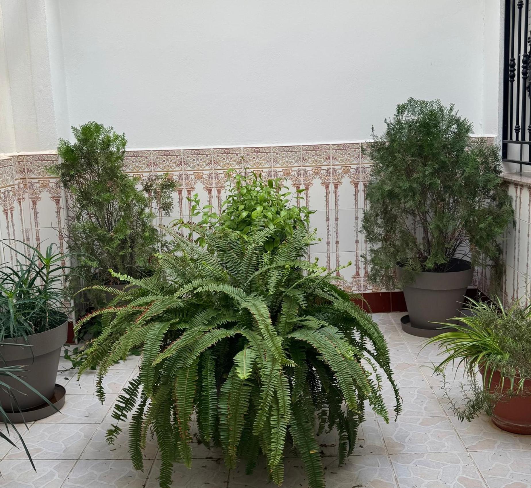 Hotel Ciudad Pozo Alcon Bagian luar foto